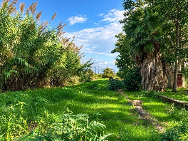 Terreno en venta en Pego, Alacant / Alicante