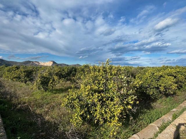 Terreno en venta en la Marina Alta, Valencia