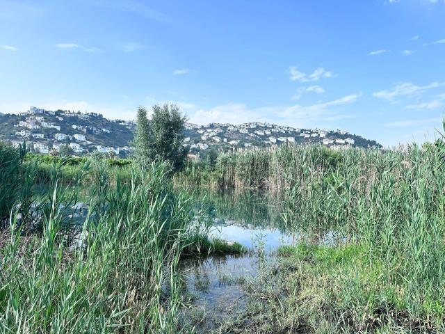 Terreno en venta en la Marina Alta, Valencia