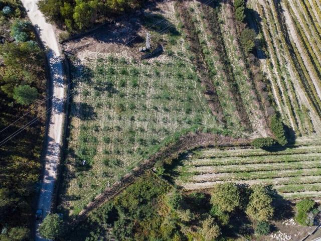 Terreno venda em Recezinhos (São Martinho), Penafiel
