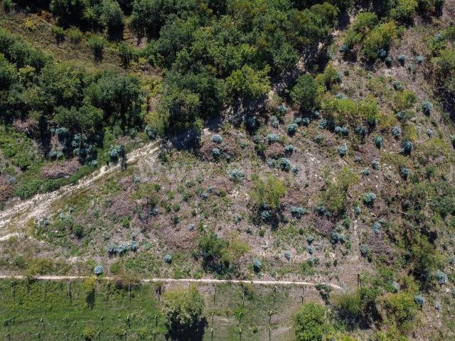 Terreno venda em Paço de Sousa, Penafiel