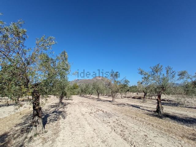 Terreno en venta en l'Alcoià, Valencia