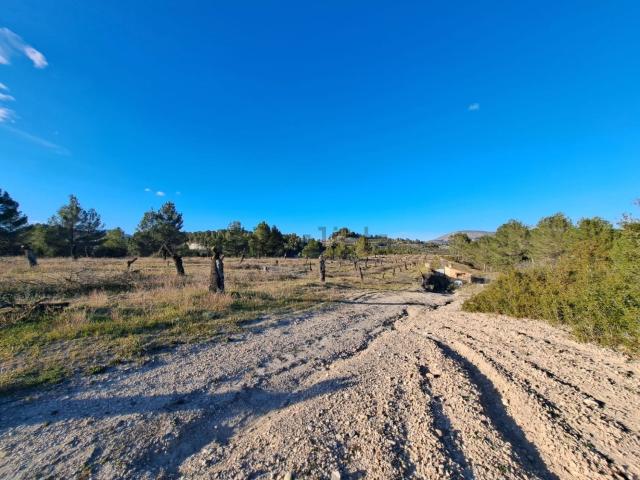 Terreno en venta en l'Alcoià, Valencia