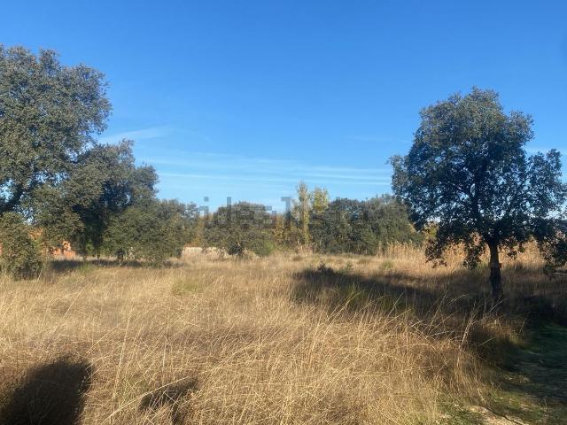 Terreno en venta en Pepino, Castilla-La Mancha