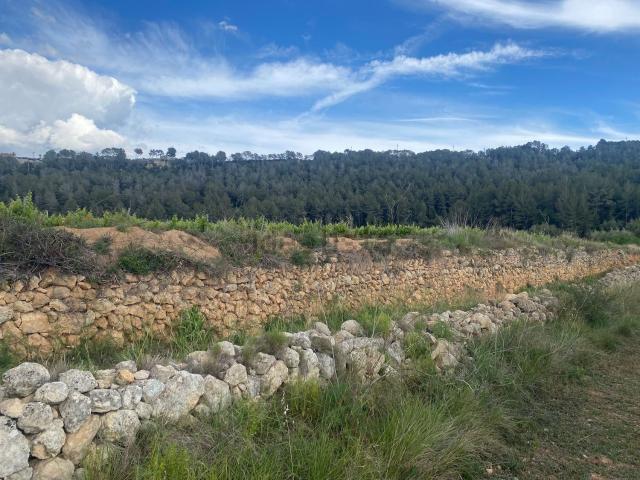 Terreno en venta en Tarragonès, Catalunya