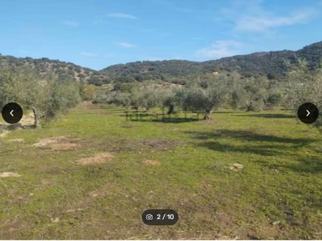 Terreno en venta en Peraleda De San Román, Extremadura