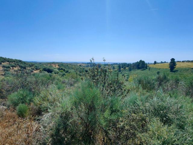 Terreno en venta en Perales Del Puerto, Extremadura