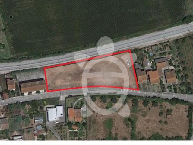 Terreno venda em Montemor-o-velho, Coimbra