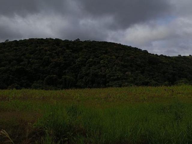 Terreno venda em Região Imediata de Sorocaba, Região Metropolitana de Sorocaba