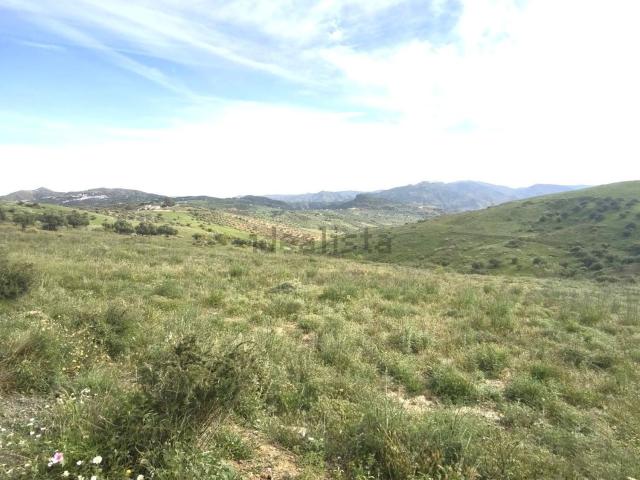 Terreno en venta en La Axarquía, Andalucía