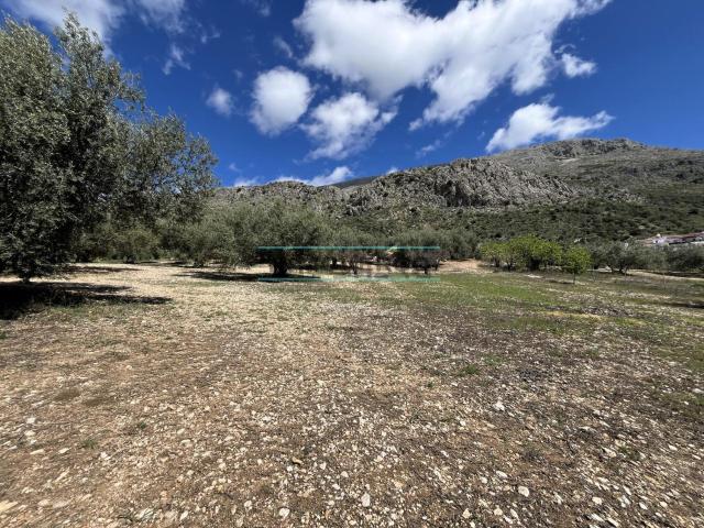 Terreno en venta en Guaro, La Axarquía