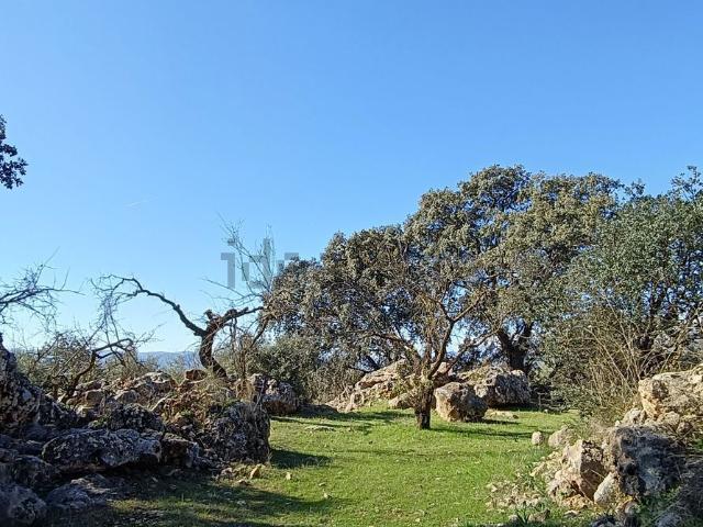 Terreno en venta en La Axarquía, Andalucía
