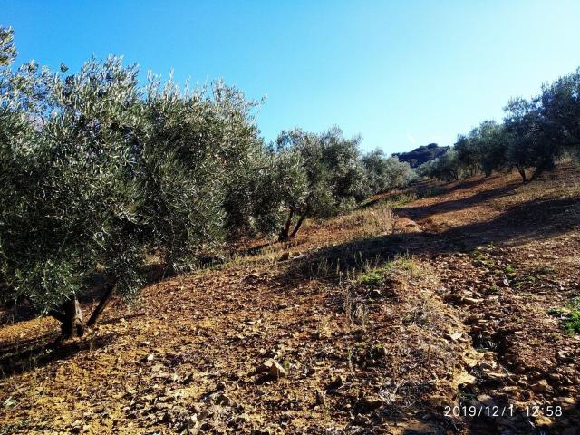 Terreno en venta en La Axarquía, Andalucía