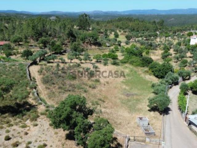 Terreno venda em Castelo Branco