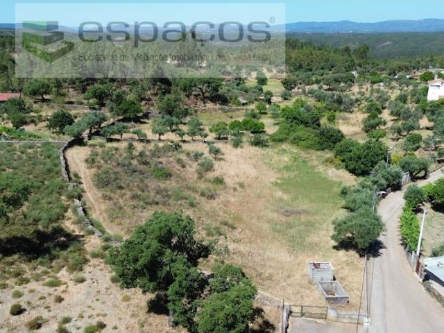 Terreno venda em Castelo Branco