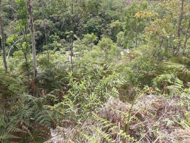 Terreno venda em Região Imediata de São José dos Campos, Região Metropolitana do Vale do Paraíba e Litoral Norte