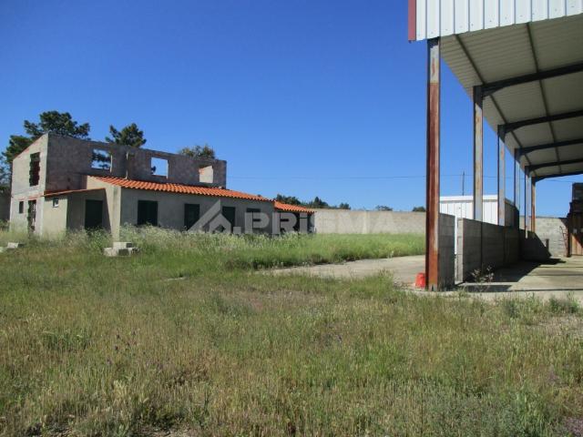 Terreno venda em Castelo Branco, Vila Velha De Ródão