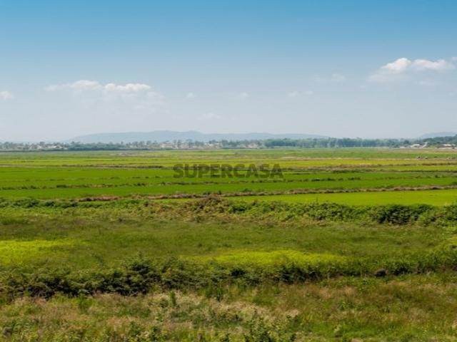 Terreno venda em Lagoas Travessa e Formosa, Grândola