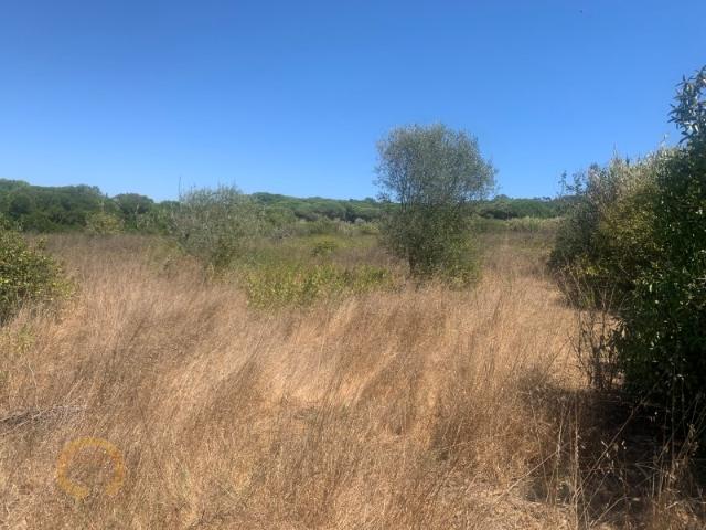 Terreno venda em Castelo, Sesimbra