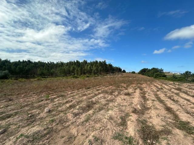 Terreno venda em Cadaval, Lisboa