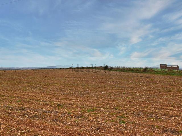 Terreno en venta en Pla de Mallorca, Baleares