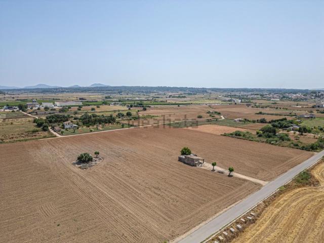 Terreno en venta en Pla de Mallorca, Baleares