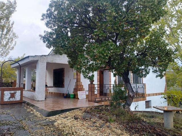 Terreno en venta en Piedrabuena, Castilla-La Mancha