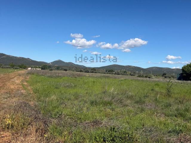 Terreno en venta en Piedrabuena, Castilla-La Mancha