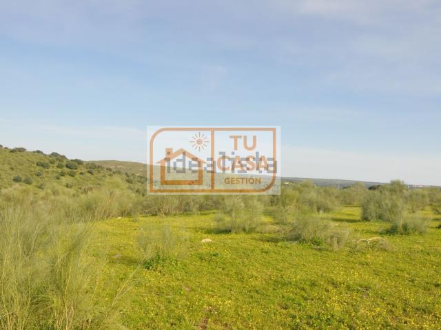 Terreno en venta en Piedras Albas, Extremadura