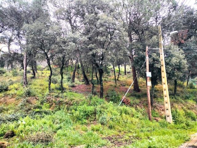Terreno en venta en Anoia, Catalunya