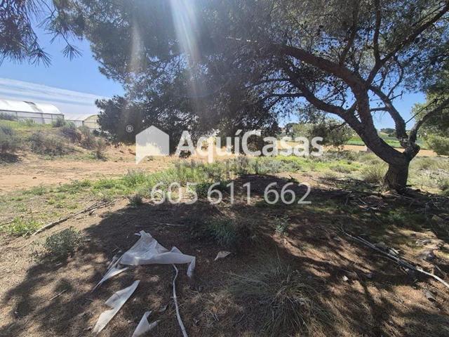 Terreno en venta en el Baix Segura / La Vega Baja, Valencia