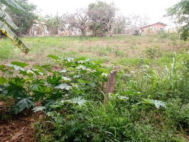 Terreno venda em Pilar do Sul