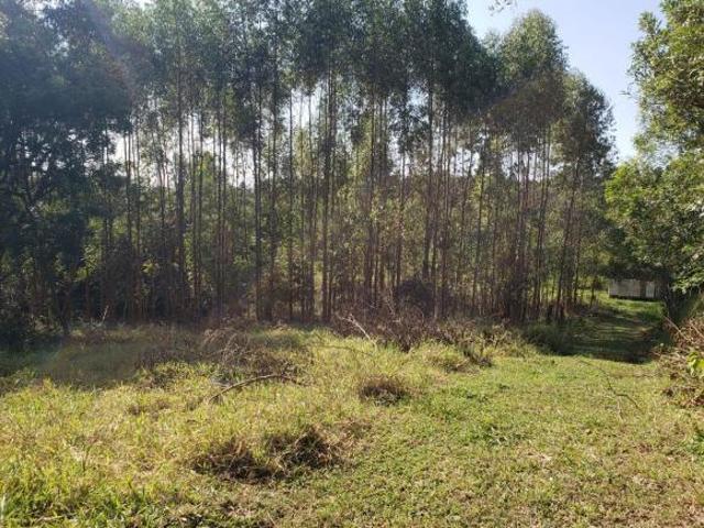 Terreno venda em Pilar do Sul