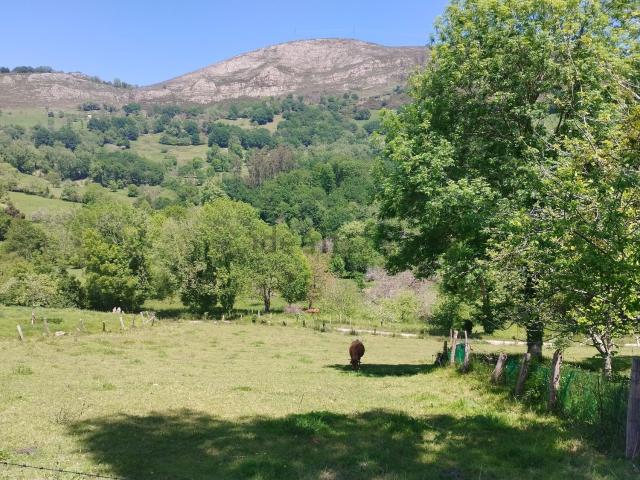 Terreno en venta en Piloña, Asturias