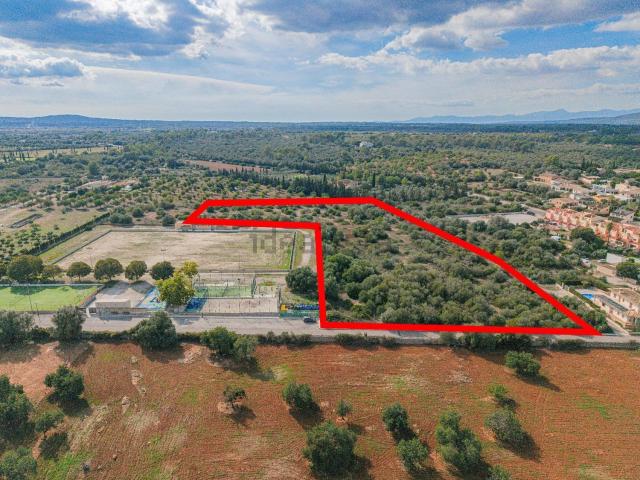 Terreno en venta en Pina, Algaida