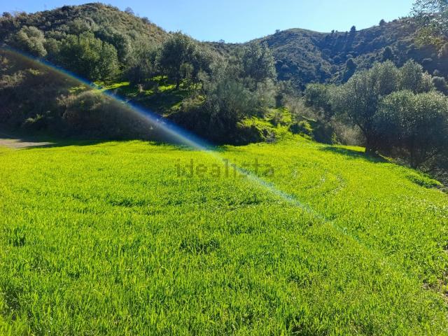 Terreno en venta en Este, Málaga-Costa del Sol