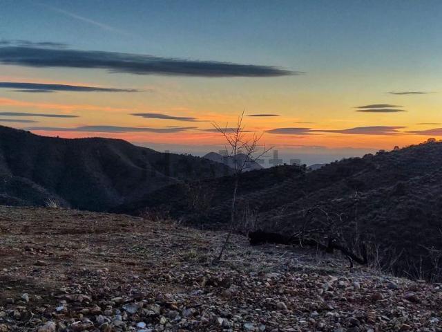 Terreno en venta en Este, Málaga-Costa del Sol