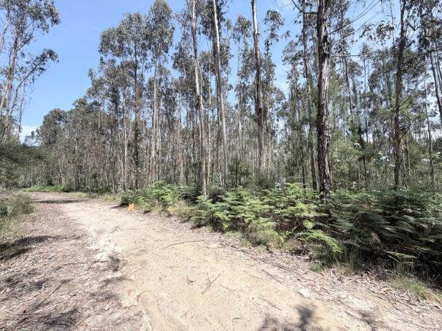 Terreno venda em Arcozelo, Braga