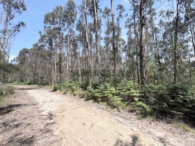 Terreno venda em Arcozelo, Braga