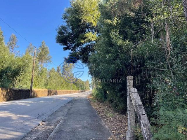 Terreno venda em Moreira de Cima, Amarante