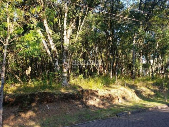 Terreno venda em Região Geográfica Imediata de Caxias do Sul, Canela