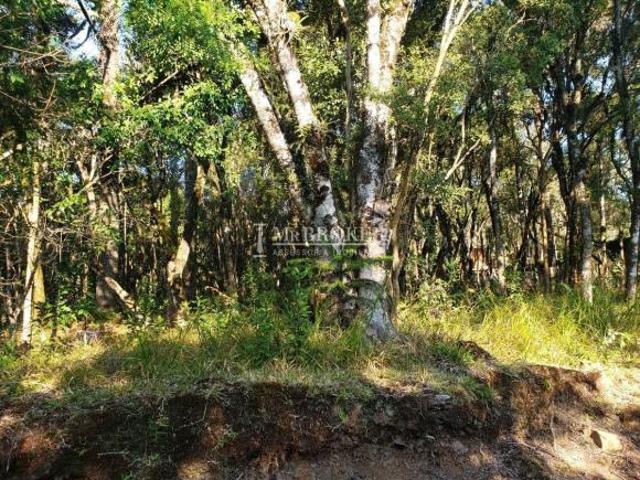 Terreno venda em Região Geográfica Imediata de Caxias do Sul, Canela