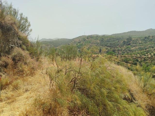 Terreno en venta en Comarca de la Vega de Granada, Andalucía