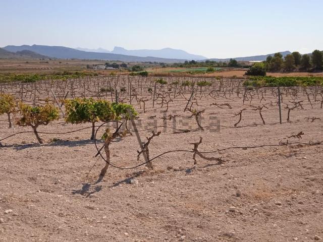 Terreno en venta en Úbeda, el Vinalopó Mitjà / El Vinalopó Medio