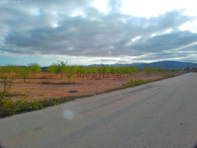 Terreno en venta en el Sequer, el Vinalopó Mitjà / El Vinalopó Medio