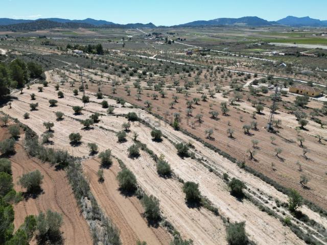 Terreno en venta en El Rodriguillo, el Vinalopó Mitjà / El Vinalopó Medio