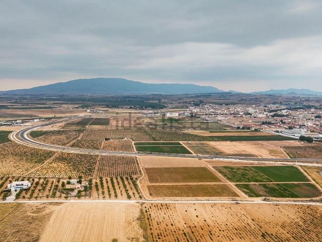 Terreno en venta en Cases del Pi, el Vinalopó Mitjà / El Vinalopó Medio