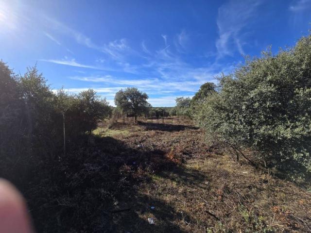 Terreno en venta en Las Suertes, Pioz