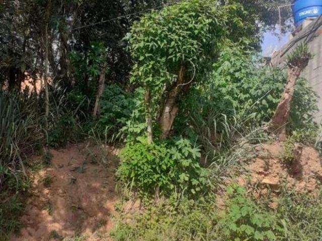 Terreno venda em Parque das Avencas, Pirapora do Bom Jesus