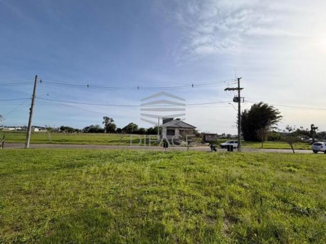 Terreno venda em Pitangueiras, Santo Antônio da Patrulha